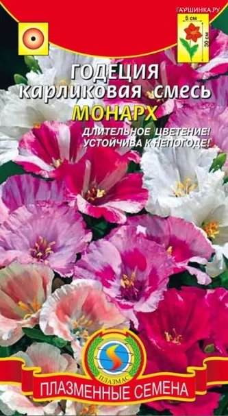 Годеция Монарх смесь карликовая 0,1 г, Плазменные семена