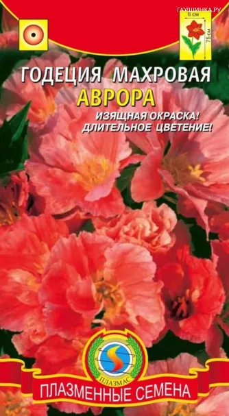 Годеция Аврора махровая 0,05 г, Плазменные семена