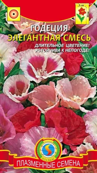 Годеция Элегантная смесь 0,2 г, Плазменные семена