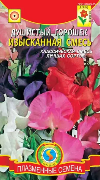 Горошек душистый Изысканная смесь 12 шт, Плазменные семена