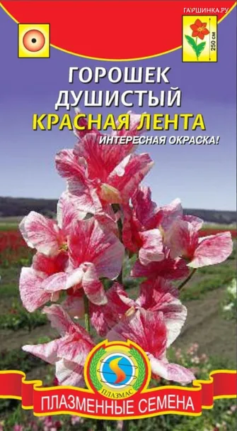 Горошек душистый Красная лента 0,4 г, Плазменные семена