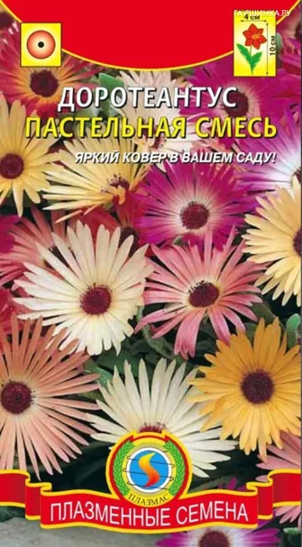 Доротеантус Пастельная смесь 0,1 г, Плазменные семена