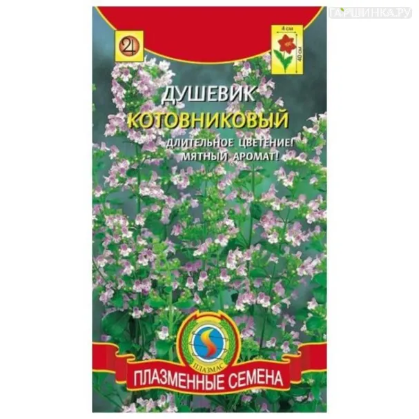 Душевик котовниковый 0,01 г, Плазменные семена