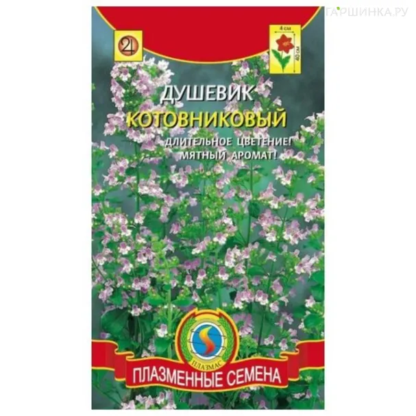Душевик котовниковый 0,01 г, Плазменные семена