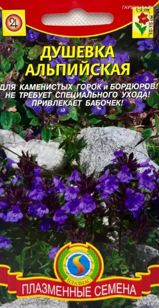 Душевка альпийская 0,01 г, Плазменные семена