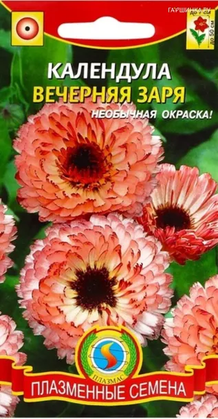 Календула Вечерняя заря 0,2 г, Плазменные семена