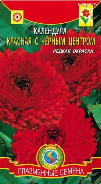Календула Красная с чёрным центром  0,3 гр Плазменные семена