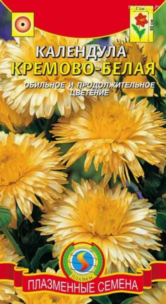 Календула Кремово-белая 0,3 г, Плазменные семена