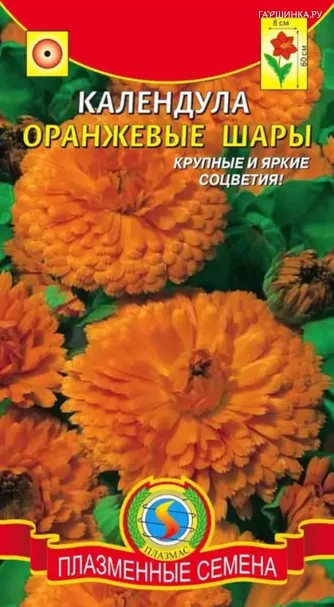 Календула Оранжевые шары 0,3 г, Плазменные семена
