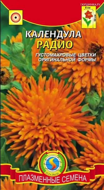 Календула Радио 0,3 гр Плазменные семена