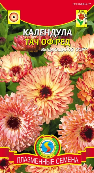 Календула Тач оф Ред 0,15 г, Плазменные семена