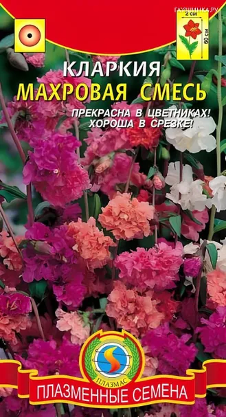 Кларкия махровая смесь 0,2 г, Плазменные семена