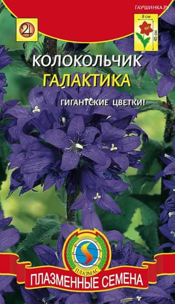 Колокольчик Галактика 0,03 г, Плазменные семена