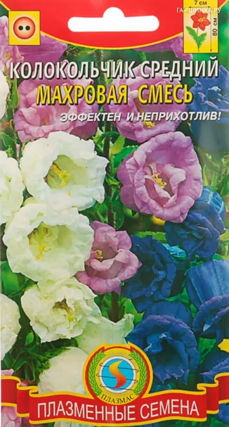 Колокольчик Махровая смесь средний 0,1 г, Плазменные семена