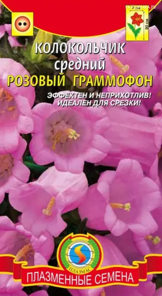 Колокольчик Розовый граммофон средний 0,1 г, Плазменные семена