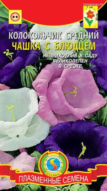 Колокольчик Чашка с блюдцем средний 0,1 г, Плазменные семена