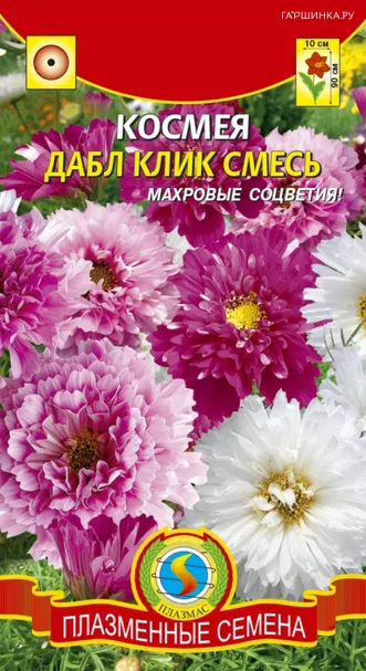 Космея Дабл Клик смесь  10 шт Плазменные семена