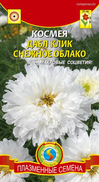 Космея Дабл Клик Снежное облако 10 шт Плазменные семена