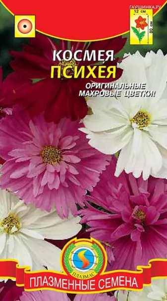 Космея Психея 0,2 г Плазменные семена
