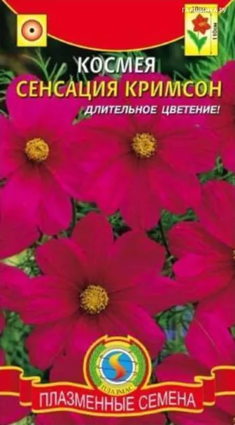 Космея Сенсация Кримсон 0,3 гр Плазменные семена