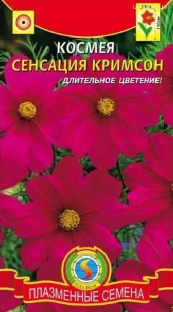 Космея Сенсация Кримсон  0,3 гр Плазменные семена