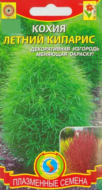 Кохия Летний кипарис  0,3 гр Плазменные семена