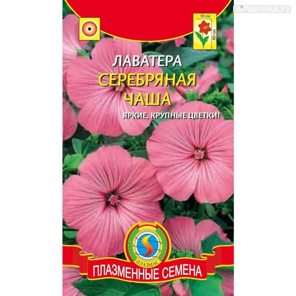 Лаватера Серебряная Чаша  0,4 гр Плазменные семена