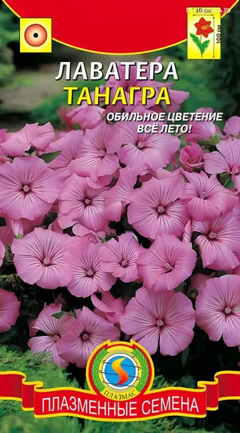 Лаватера Танагра 0,3 г, Плазменные семена