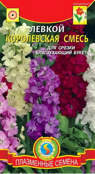 Левкой Королевская смесь 0,1 г, Плазменные семена