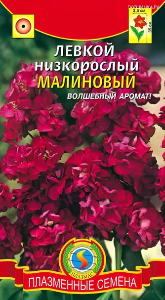 Левкой Малиновый низкорослый 0,1 г, Плазменные семена
