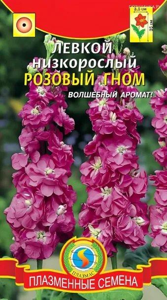Левкой Розовый гном низкорослый 0,1 г, Плазменные семена