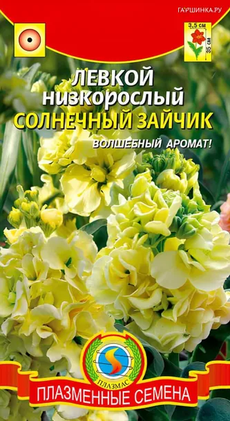 Левкой Солнечный зайчик низкорослый 0,1 г, Плазменные семена