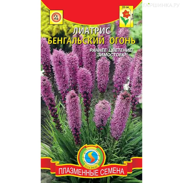 Лиатрис Бенгальский огонь  0,2 гр Плазменные семена
