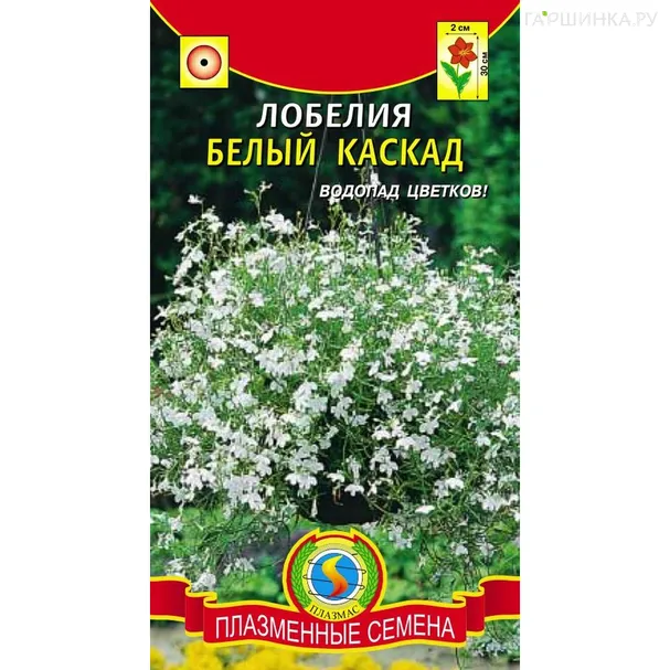 Лобелия Белый каскад  0,05 гр Плазменные семена