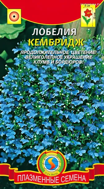 Лобелия Кембридж 0,03 г, Плазменные семена