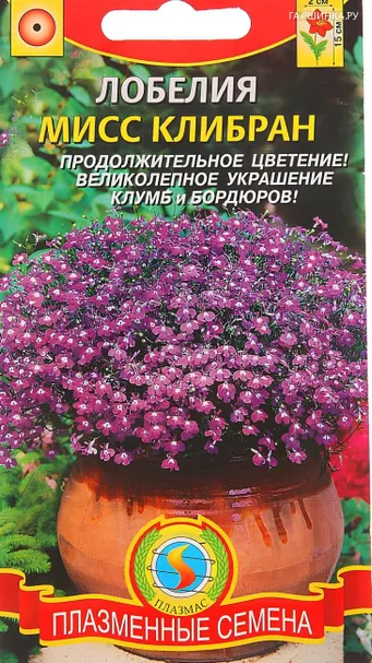 Лобелия Мисс Клибран 0,03 г, Плазменные семена