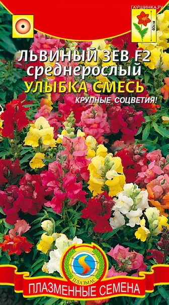 Львиный зев Улыбка F2 среднерослый 0,1 г, Плазменные семена