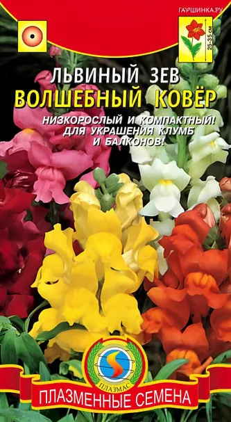 Львиный зев Волшебный ковер 0,2 г, Плазменные семена