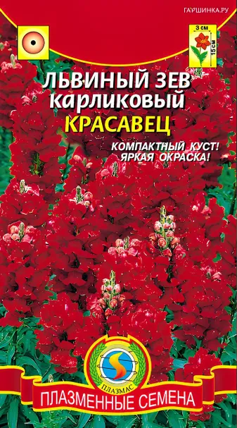 Львиный зев Красавец карликовый 0,02 г, Плазменные семена