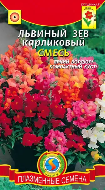 Львиный зев Смесь карликовый 0,02 г, Плазменные семена