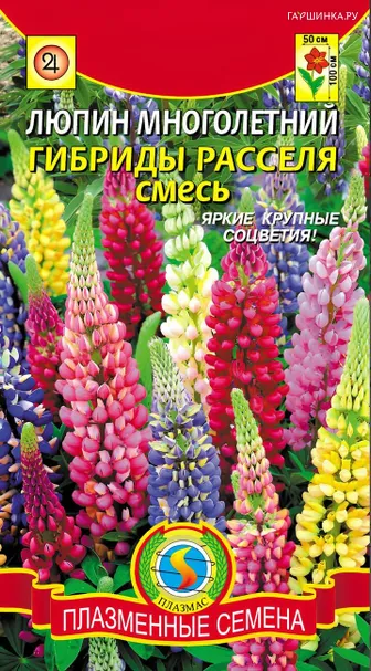 Люпин Расселя смесь многолетний гибрид 0,45 г, Плазменные семена