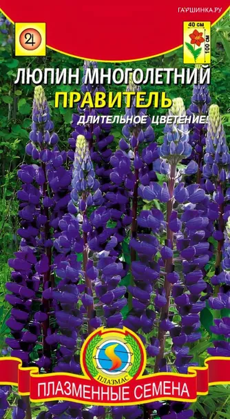 Люпин Правитель многолетний 0,45 г, Плазменные семена