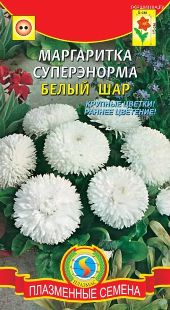 Маргаритка Белый шар СуперЭнорма 0,05г, Плазменные семена