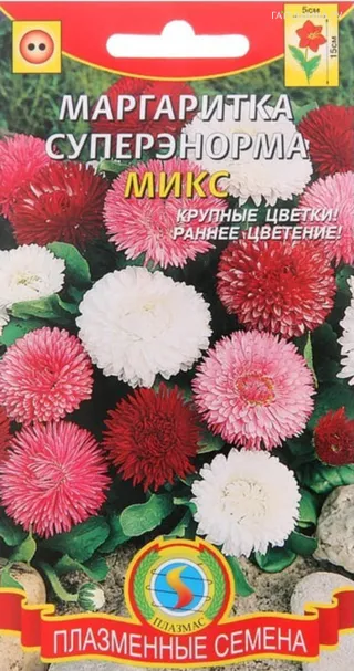 Маргаритка Микс СуперЭнорма 0,05г, Плазменные семена