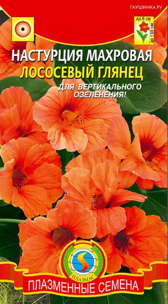 Настурция Лососевый глянец махровая 9 шт, Плазменные семена