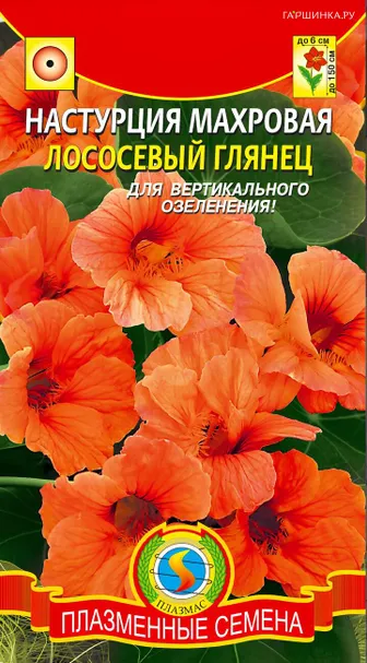 Настурция Лососевый глянец махровая 9 шт, Плазменные семена