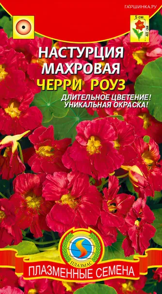 Настурция Черри Роуз махровая 8 шт, Плазменные семена