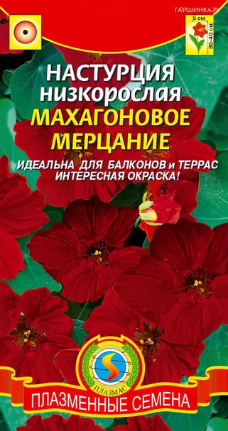 Настурция Махагоновое мерцание низкорослая 7 шт, Плазменные семена