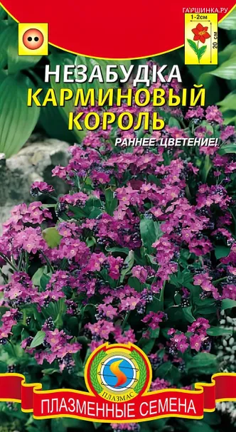 Незабудка Карминовый король альпийская 0,1 г, Плазменные семена