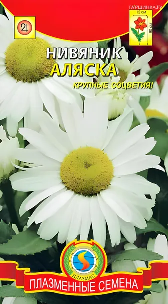 Нивяник Аляска 0,2 г, Плазменные семена